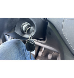 Cremaillere assistee FORD C-MAX 1
