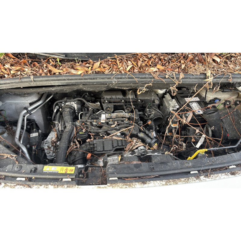 Vitre avant droit CITROEN BERLINGO 3 M Photo n°20
