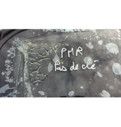 Feu arriere principal droit (feux) BMW SERIE 1 E87