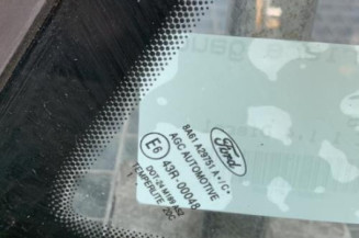 Custode arriere gauche FORD FIESTA 6