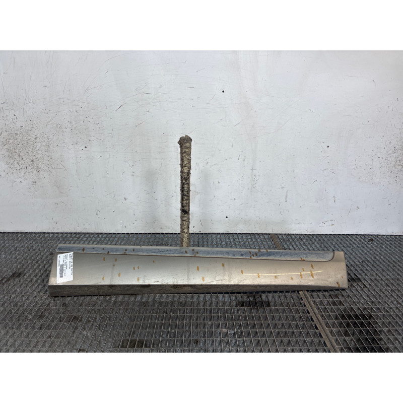 Baguette de porte avant droite RENAULT SCENIC 3 Photo n°1