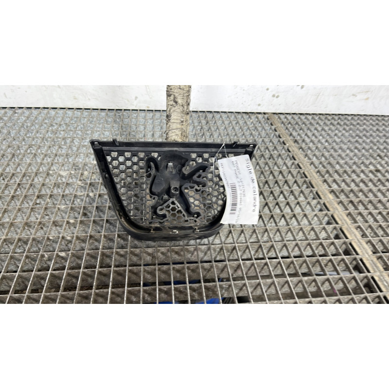 Sigle de calandre PEUGEOT 607 Photo n°4