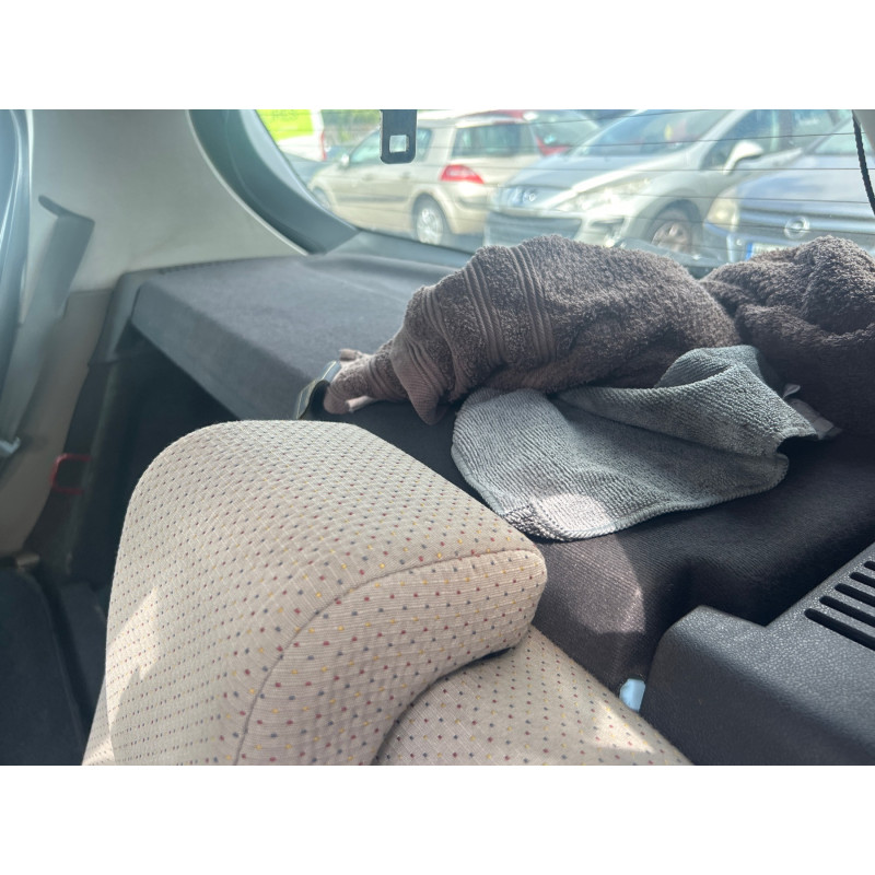 Vitre avant gauche RENAULT CLIO 3 Photo n°16