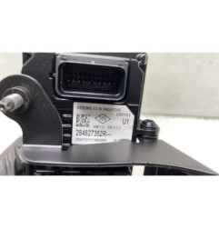 Camera RENAULT SCENIC 4