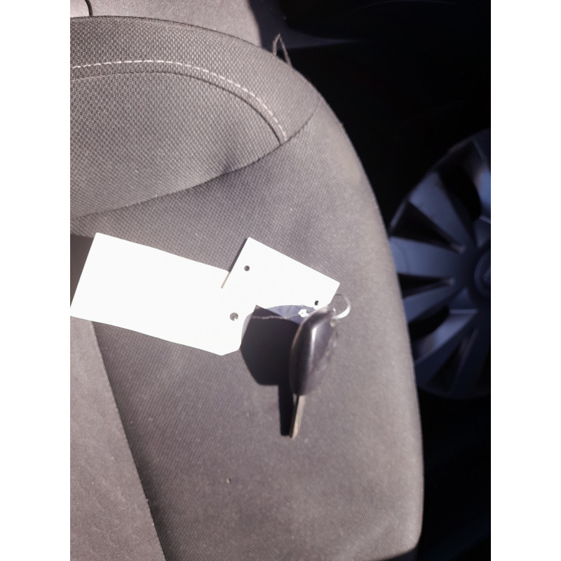 Porte arriere droit RENAULT CLIO 3 Photo n°14