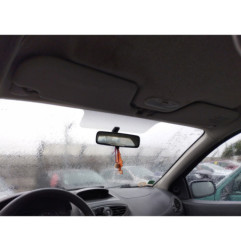 Porte arriere droit RENAULT CLIO 3