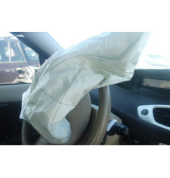 Custode avant gauche (porte) RENAULT GRAND SCENIC 3