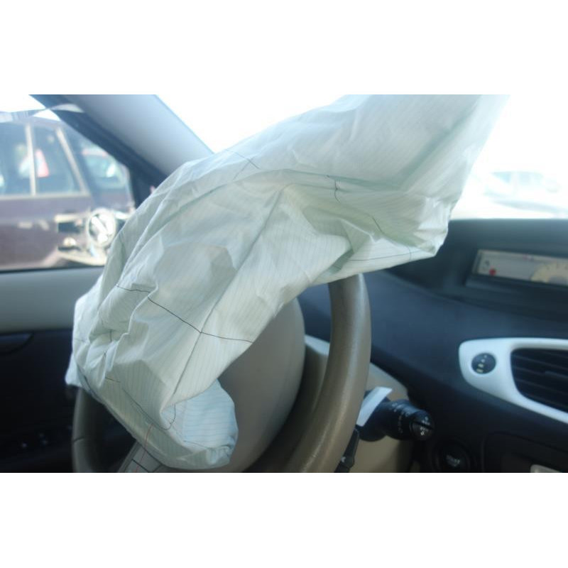Custode avant gauche (porte) RENAULT GRAND SCENIC 3 Photo n°5
