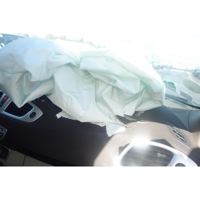 Custode avant gauche (porte) RENAULT GRAND SCENIC 3 Photo n°9