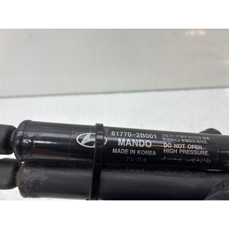 Verin de coffre HYUNDAI SANTA FE 2 Photo n°1
