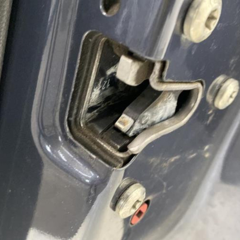 Porte arriere droit OPEL ZAFIRA B Photo n°5