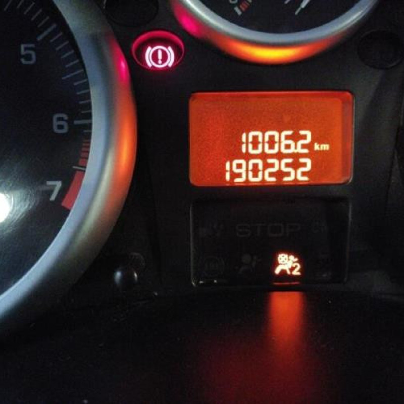 Compteur PEUGEOT 206+ Photo n°12
