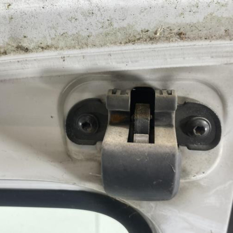Porte de coffre droit RENAULT KANGOO 1 Photo n°3