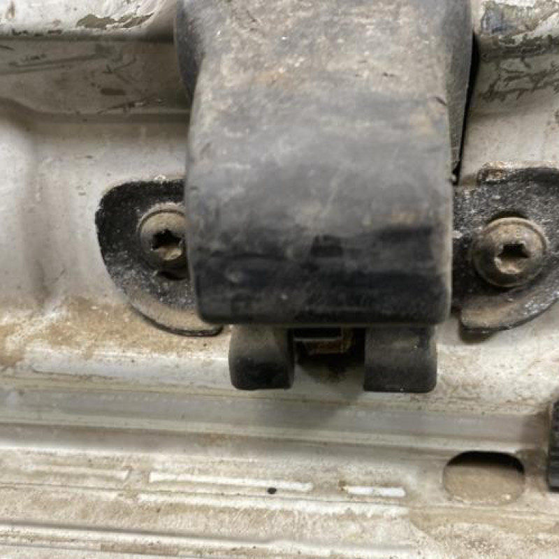 Porte de coffre droit RENAULT KANGOO 1 Photo n°4