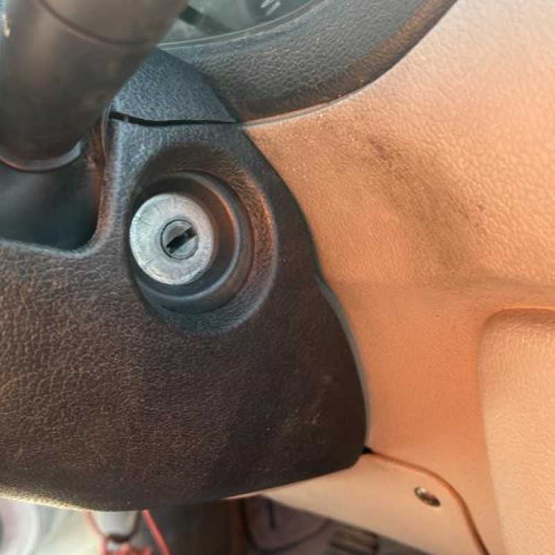 Porte de coffre droit RENAULT KANGOO 1 Photo n°6