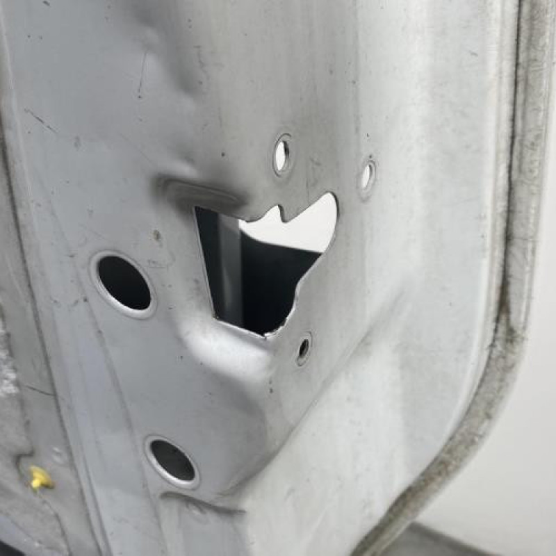 Porte avant droit OPEL VIVARO 1 Photo n°5
