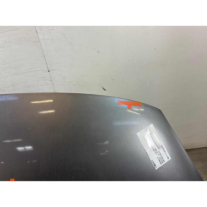 Capot RENAULT SCENIC 3 Photo n°7