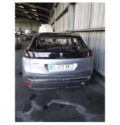 Camera PEUGEOT 3008 2