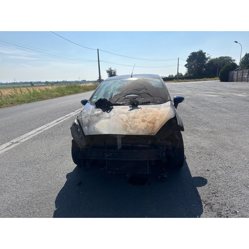Porte arriere droit FORD FIESTA 6 Photo n°19