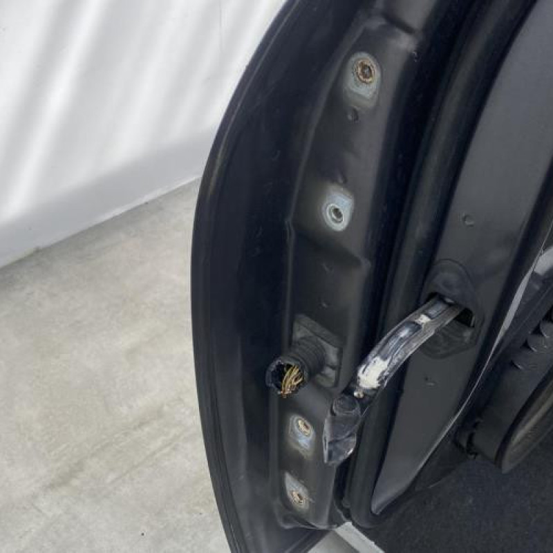 Porte avant droit OPEL INSIGNIA 1 Photo n°4
