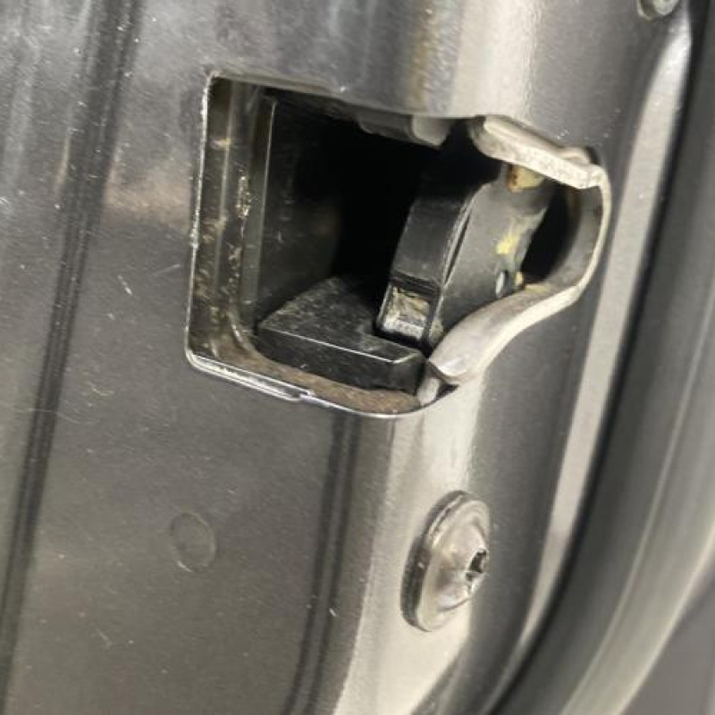 Porte avant droit OPEL INSIGNIA 1 Photo n°5
