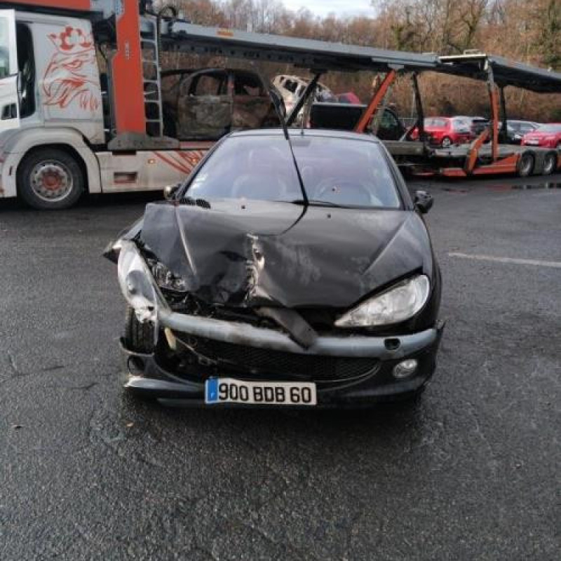 Porte avant droit PEUGEOT 206 Photo n°6
