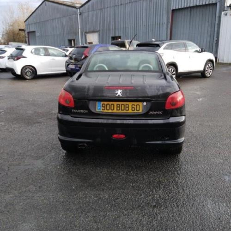 Porte avant droit PEUGEOT 206 Photo n°8