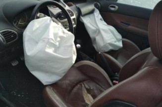 Porte avant droit PEUGEOT 206