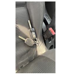 Custode arriere gauche (porte) RENAULT CLIO 3