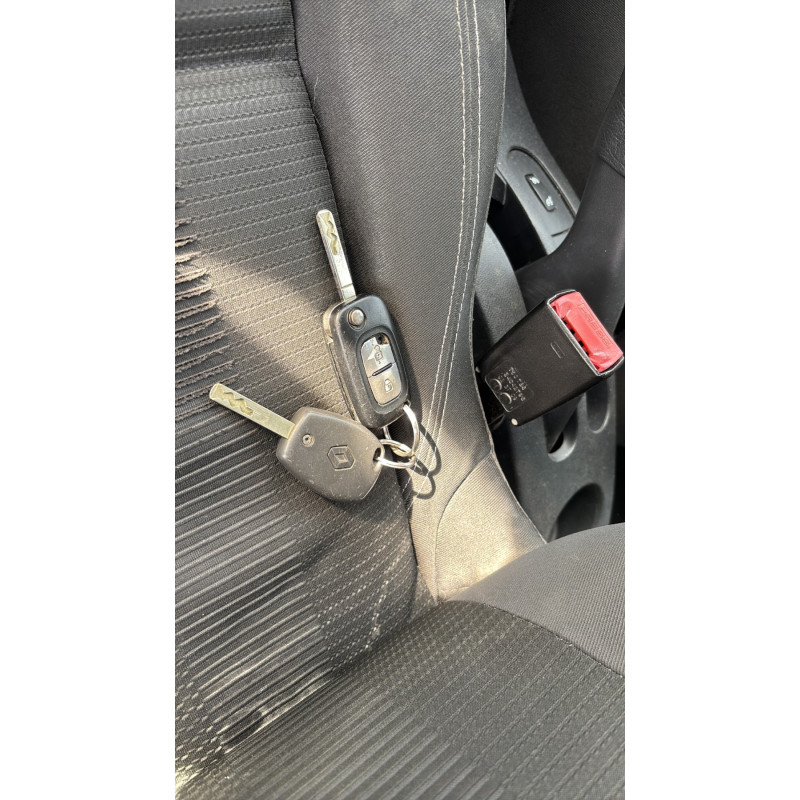 Custode arriere gauche (porte) RENAULT CLIO 3 Photo n°20