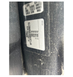 Porte arriere gauche RENAULT SCENIC 3