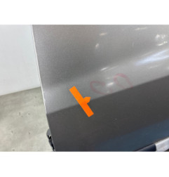 Porte avant gauche RENAULT CLIO 3