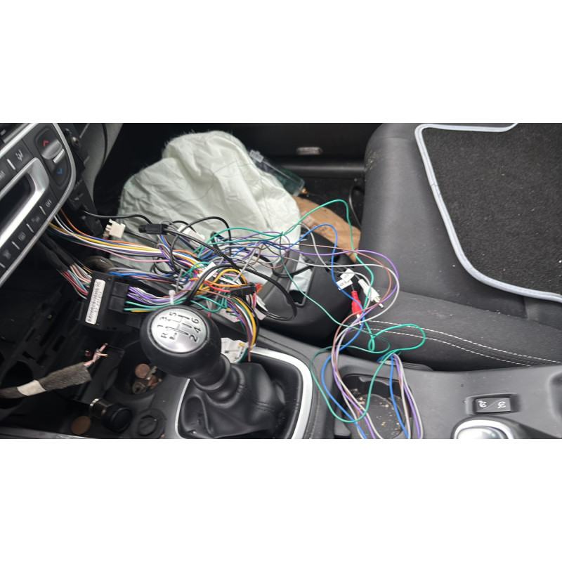 Custode arriere droit RENAULT MEGANE 3 Photo n°19
