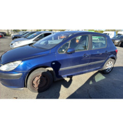 Neiman PEUGEOT 307
