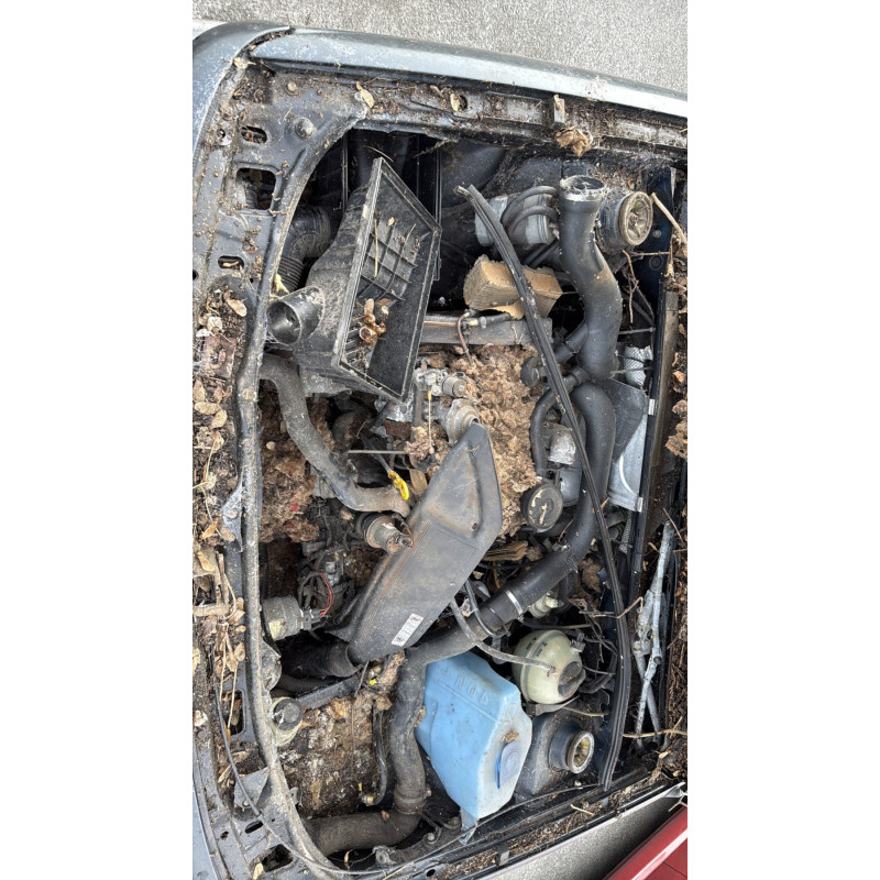Feu arriere secondaire gauche (feux) VOLKSWAGEN PASSAT 3 Photo n°16