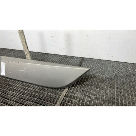 Baguette de porte arriere gauche RENAULT SCENIC 3
