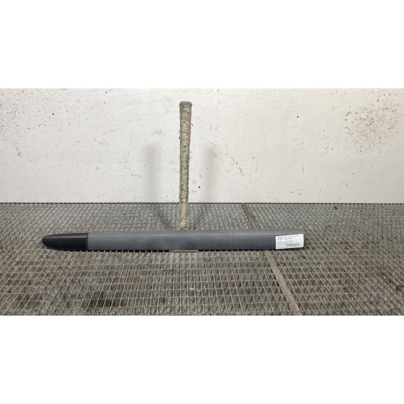 Baguette de porte avant gauche RENAULT CLIO 2 CAMPUS Photo n°1
