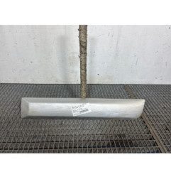 Baguette de porte arriere gauche  DACIA SANDERO 1