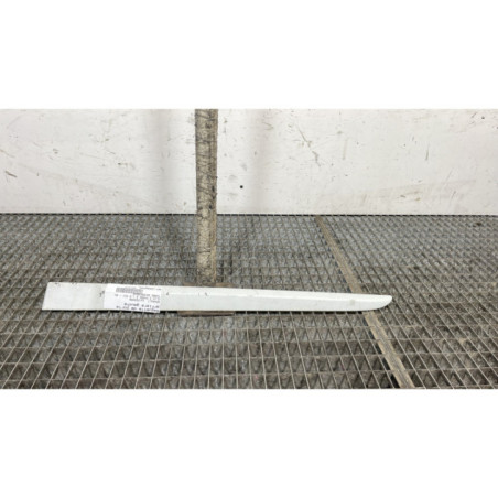 Baguette de porte arriere gauche RENAULT CLIO 3 Photo n°1