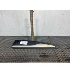 Baguette de porte arriere gauche  RENAULT CLIO 4