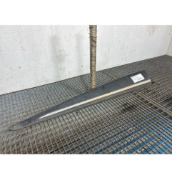 Baguette de porte avant gauche RENAULT CLIO 4