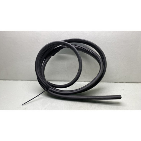 Joint de porte avant gauche RENAULT GRAND MODUS