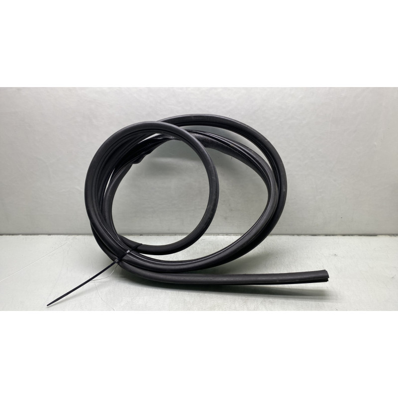 Joint de porte avant gauche RENAULT GRAND MODUS Photo n°3