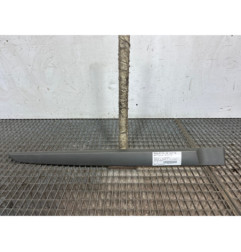 Baguette de porte arriere droite RENAULT SCENIC 2 Photo n°1