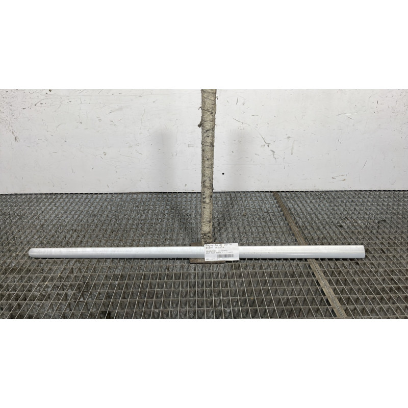 Baguette de porte avant droite VOLKSWAGEN GOLF PLUS Photo n°1