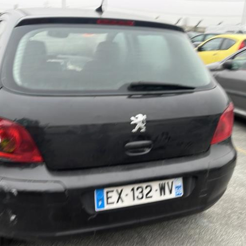 Jante PEUGEOT 307 Photo n°5
