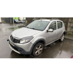 Porte arriere gauche DACIA SANDERO 1