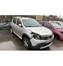 Porte arriere gauche DACIA SANDERO 1