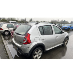 Porte arriere gauche DACIA SANDERO 1