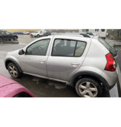 Porte arriere gauche DACIA SANDERO 1